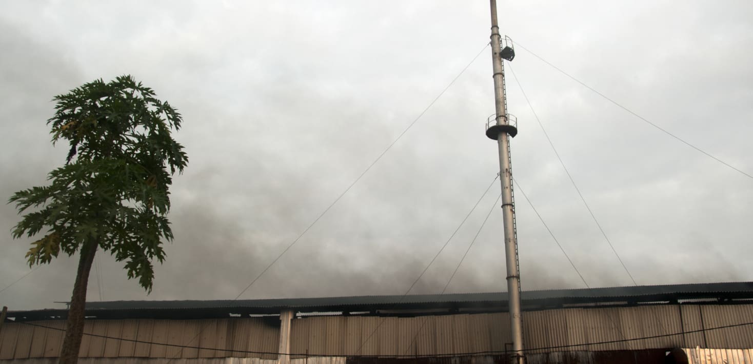 tree and smog at recycling plan