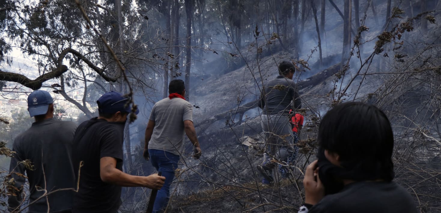 fire in forest with people walking